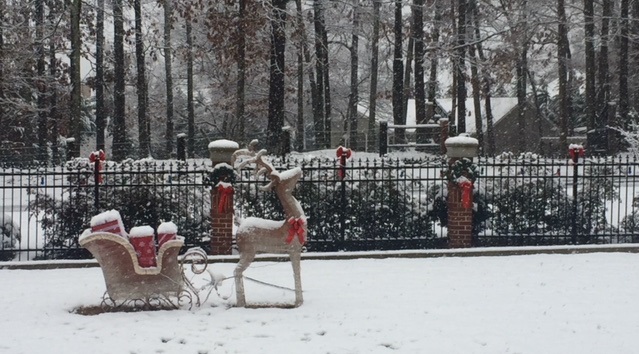 Snow Day + Rein Deer